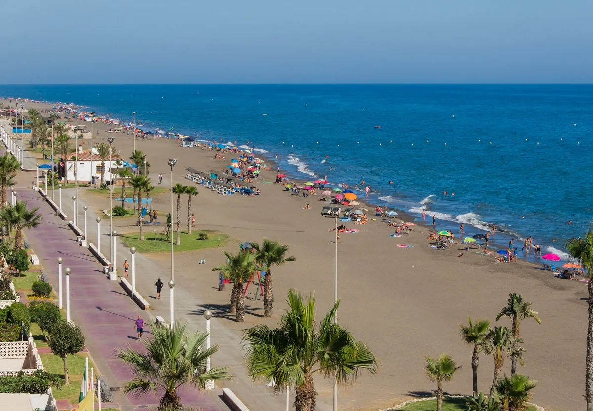 Vista panorámica de la playa de Rincón de la Victoria con palmeras y paseo marítimo